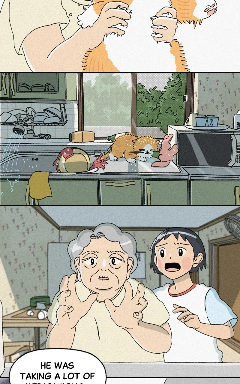 Tata the Cat Chapter 37 page 6 - 