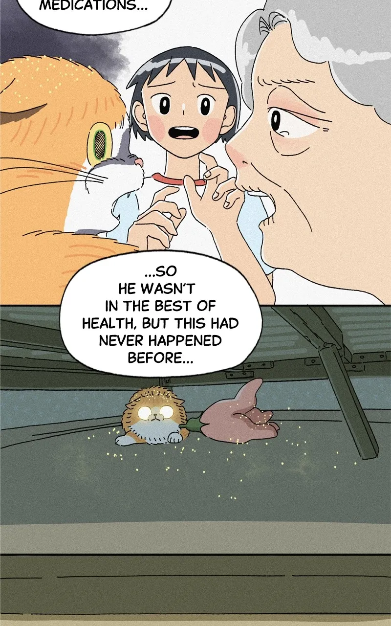 Tata the Cat Chapter 37 page 7 - 