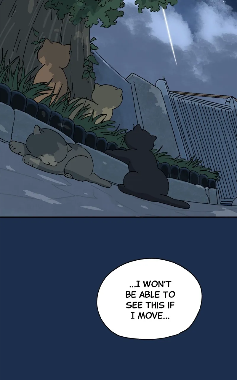 Tata the Cat Chapter 37 page 73 - 
