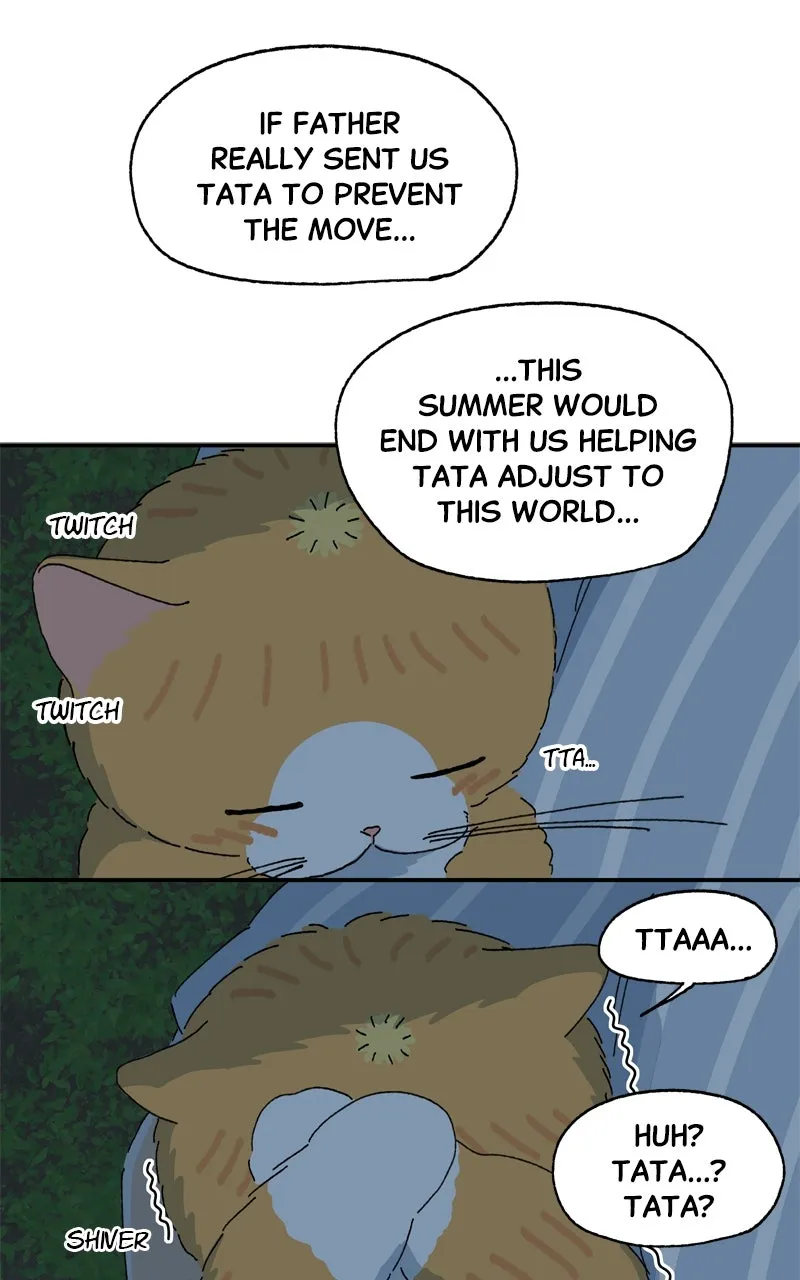 Tata the Cat Chapter 38 page 12 - 