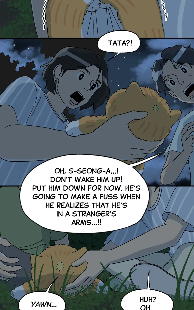 Tata the Cat Chapter 38 page 13 - 