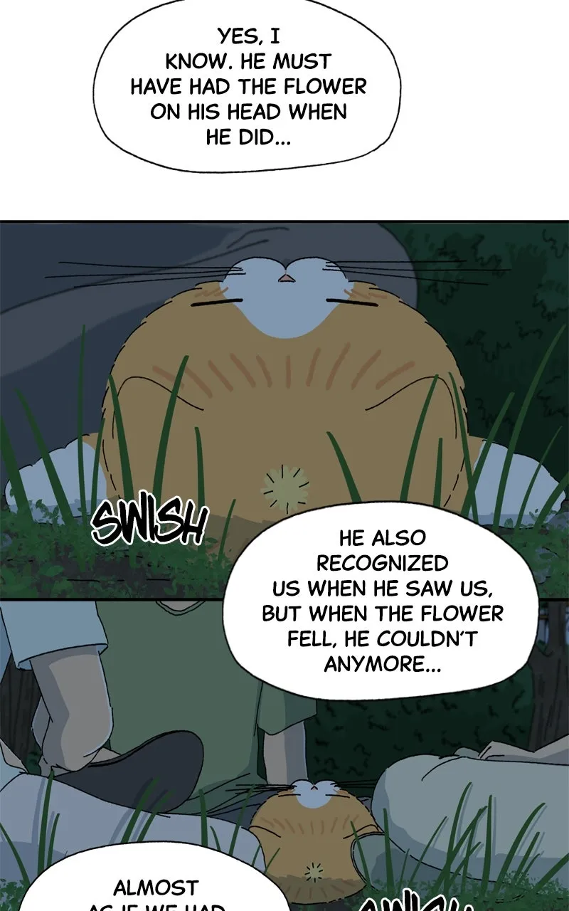 Tata the Cat Chapter 38 page 15 - 