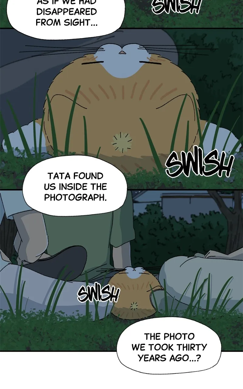 Tata the Cat Chapter 38 page 16 - 