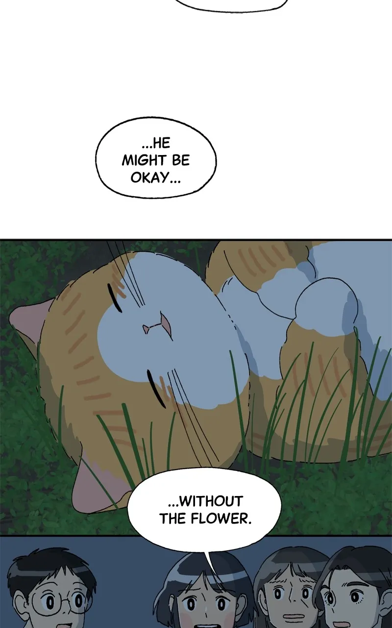 Tata the Cat Chapter 38 page 30 - 