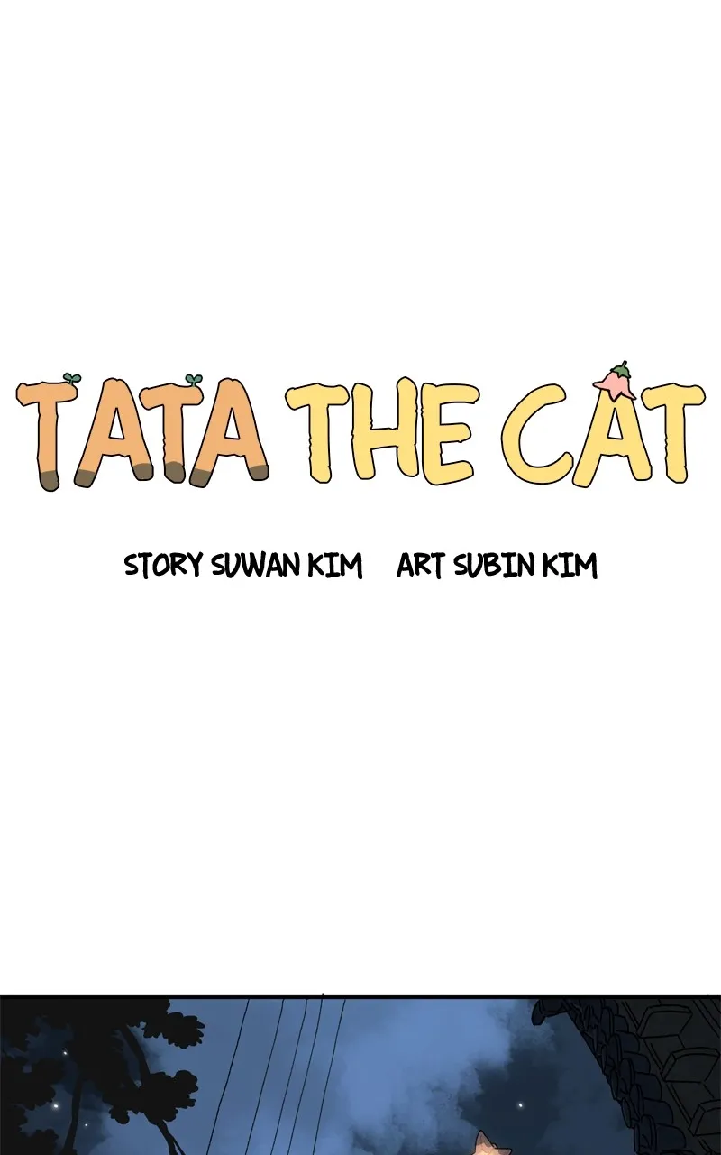 Tata the Cat Chapter 38 page 33 - 