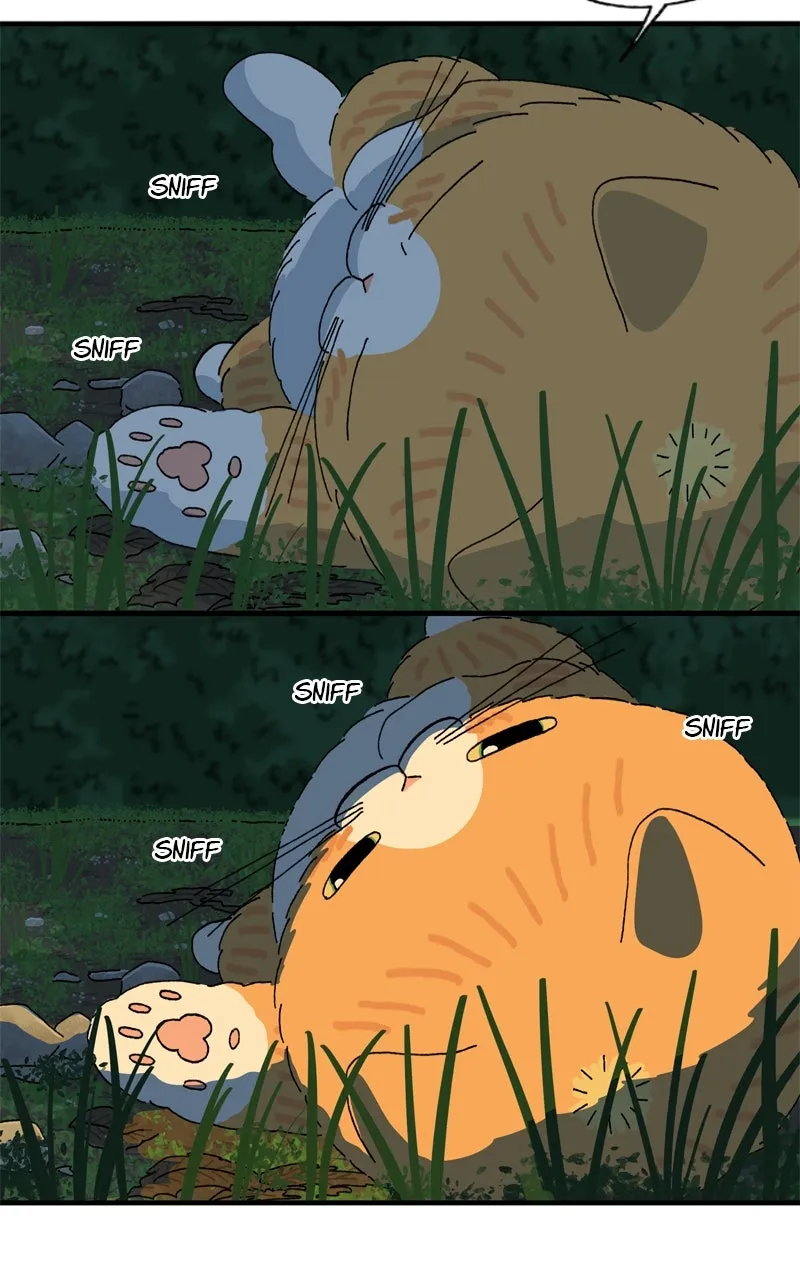 Tata the Cat Chapter 38 page 39 - 