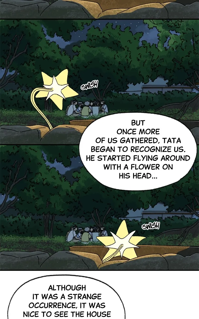 Tata the Cat Chapter 38 page 5 - 