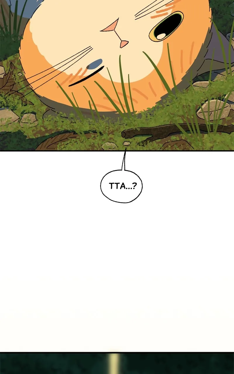 Tata the Cat Chapter 38 page 41 - 