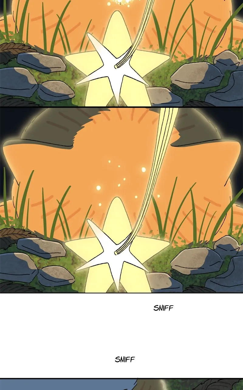 Tata the Cat Chapter 38 page 54 - 