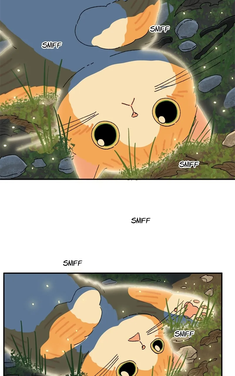 Tata the Cat Chapter 38 page 55 - 