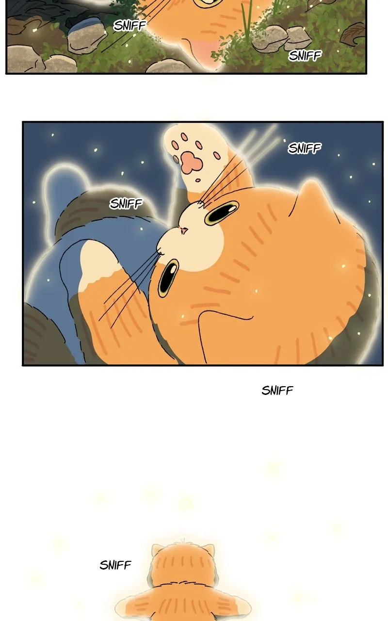 Tata the Cat Chapter 38 page 56 - 