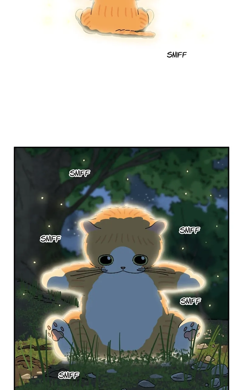 Tata the Cat Chapter 38 page 57 - 