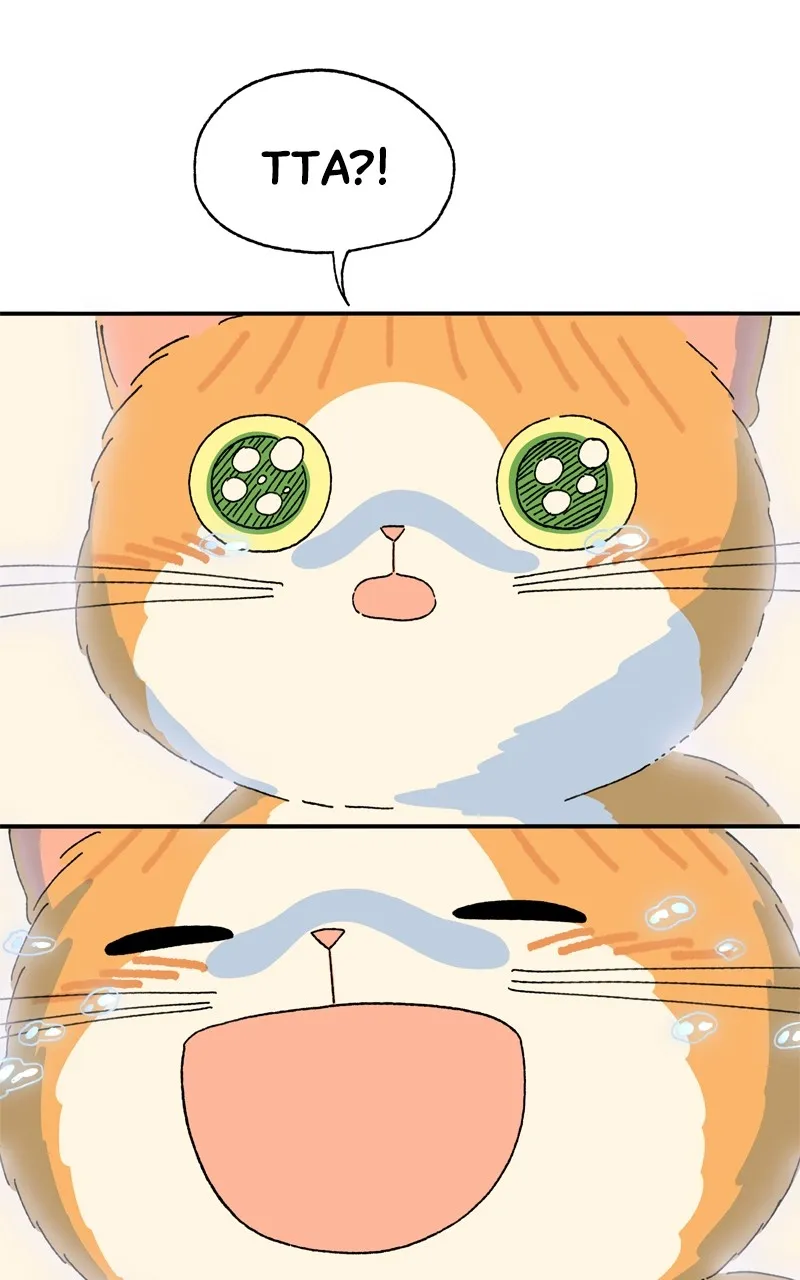 Tata the Cat Chapter 38 page 60 - 