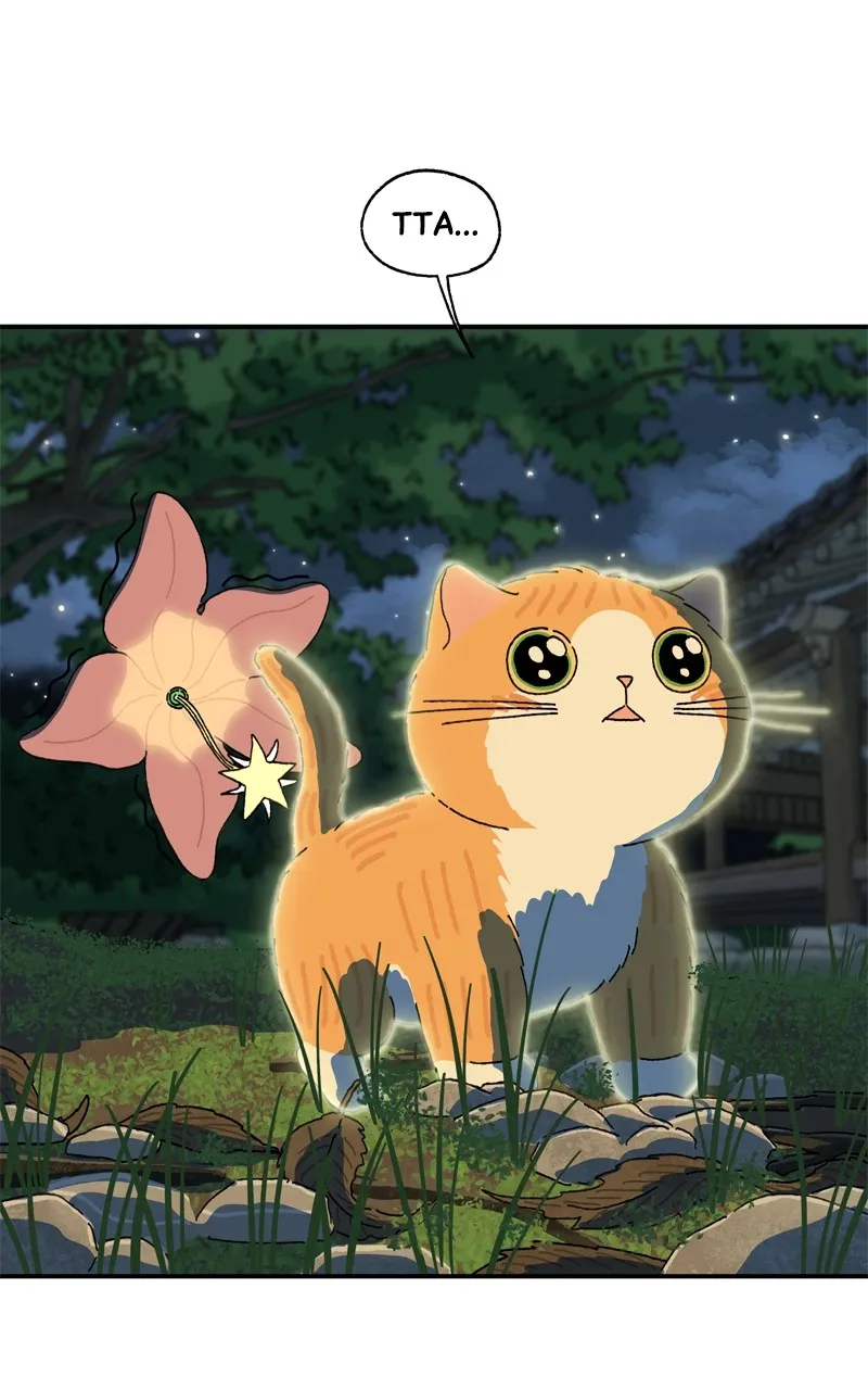 Tata the Cat Chapter 39 page 1 - 
