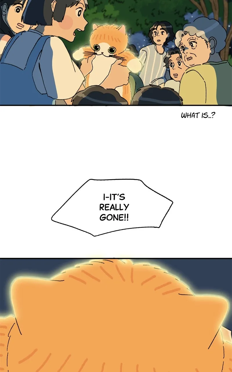 Tata the Cat Chapter 39 page 13 - 