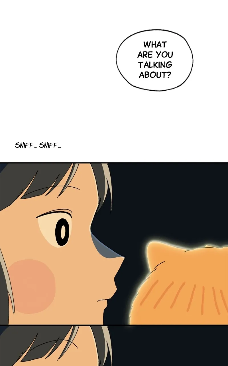 Tata the Cat Chapter 39 page 16 - 