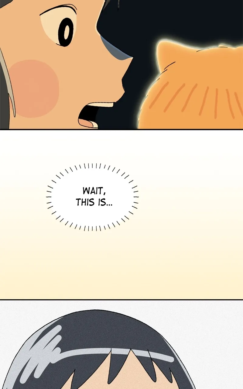 Tata the Cat Chapter 39 page 17 - 
