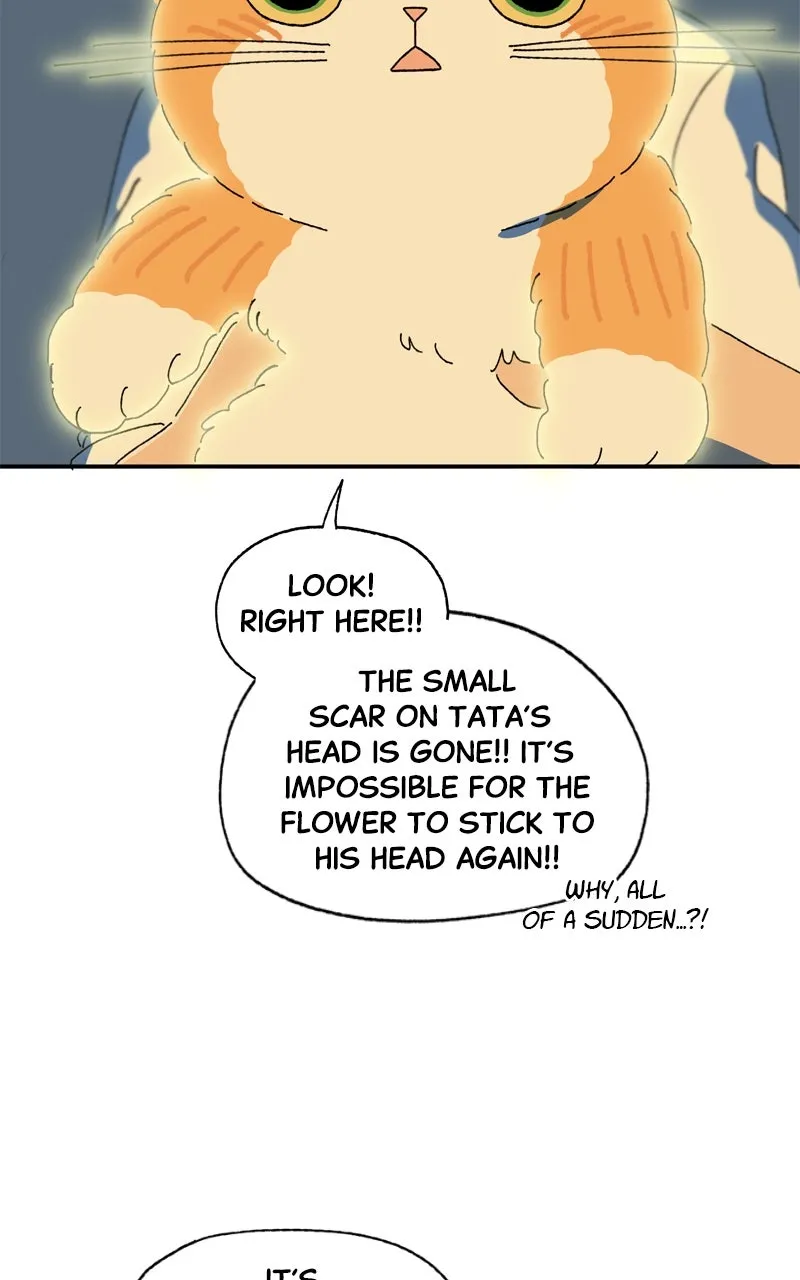 Tata the Cat Chapter 39 page 24 - 