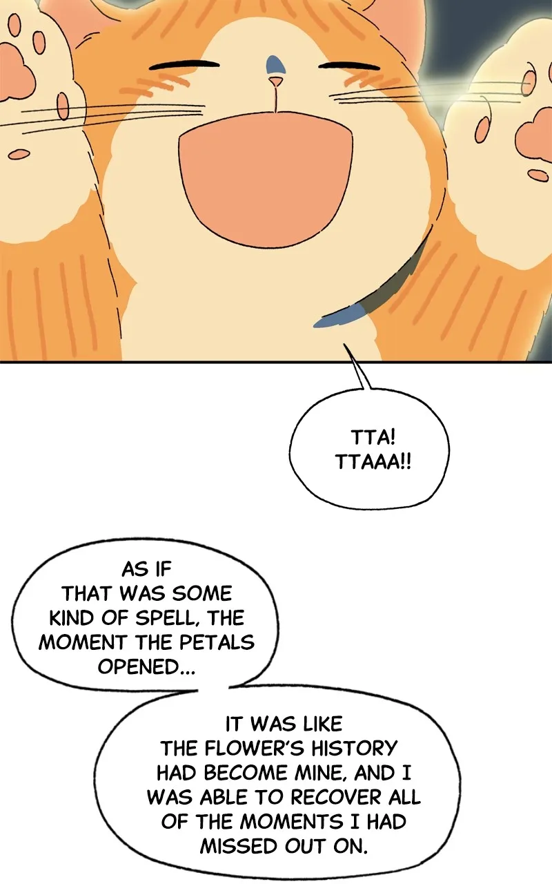 Tata the Cat Chapter 39 page 27 - 