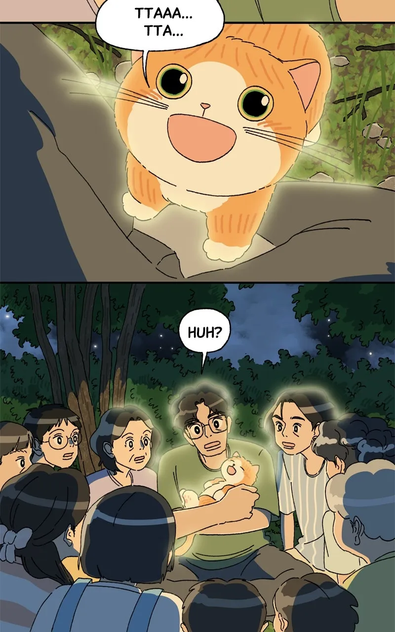 Tata the Cat Chapter 39 page 37 - 