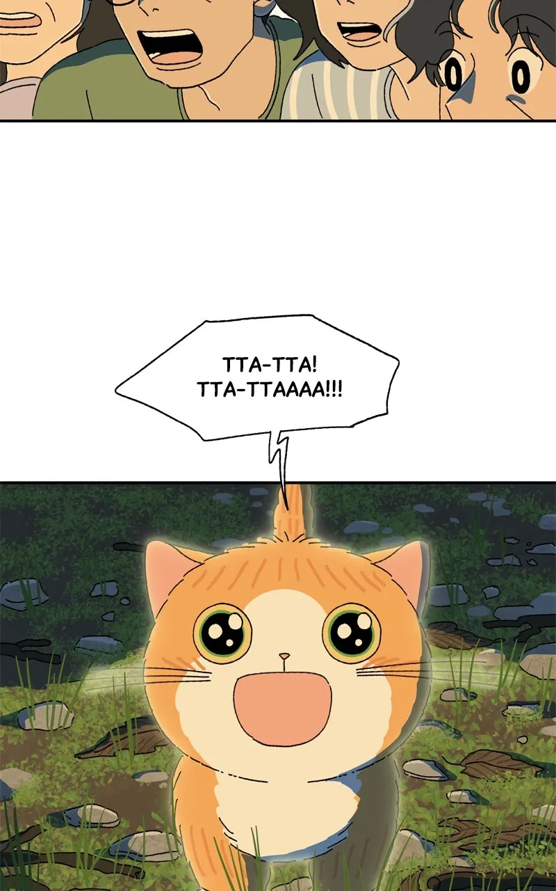 Tata the Cat Chapter 39 page 5 - 