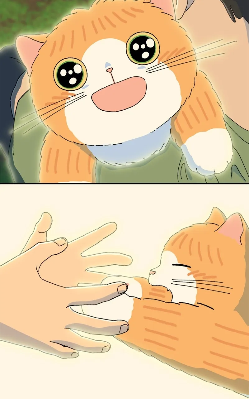 Tata the Cat Chapter 39 page 42 - 