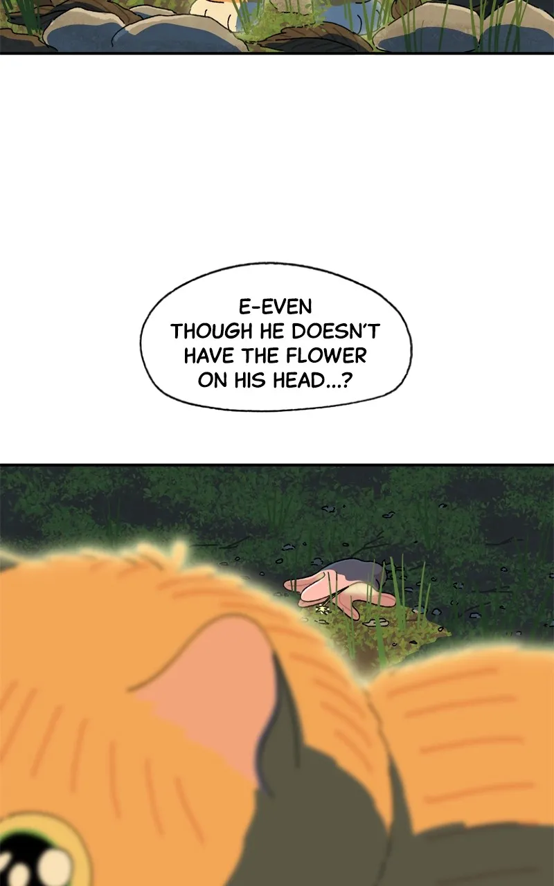 Tata the Cat Chapter 39 page 6 - 