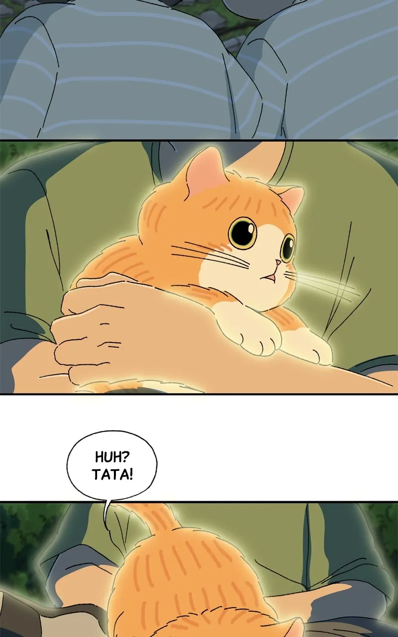 Tata the Cat Chapter 39 page 58 - 