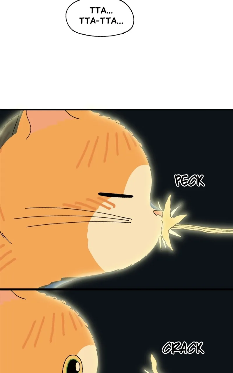 Tata the Cat Chapter 39 page 61 - 