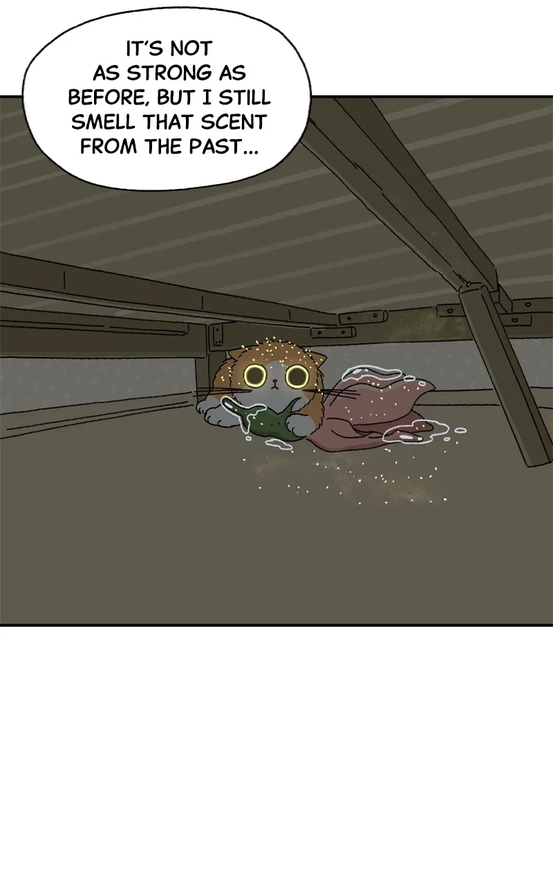 Tata the Cat Chapter 4 page 13 - 