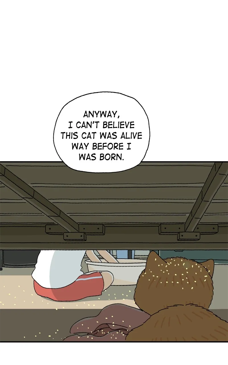 Tata the Cat Chapter 4 page 15 - 