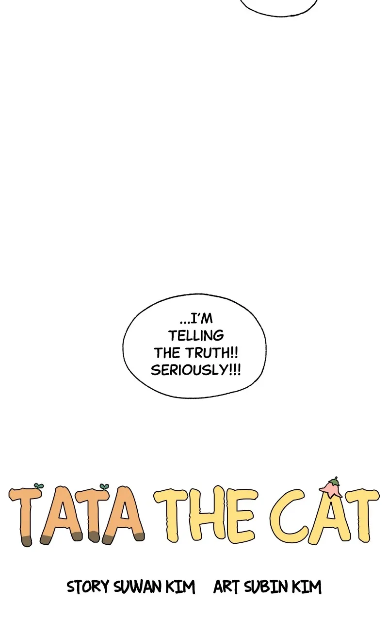 Tata the Cat Chapter 4 page 28 - 