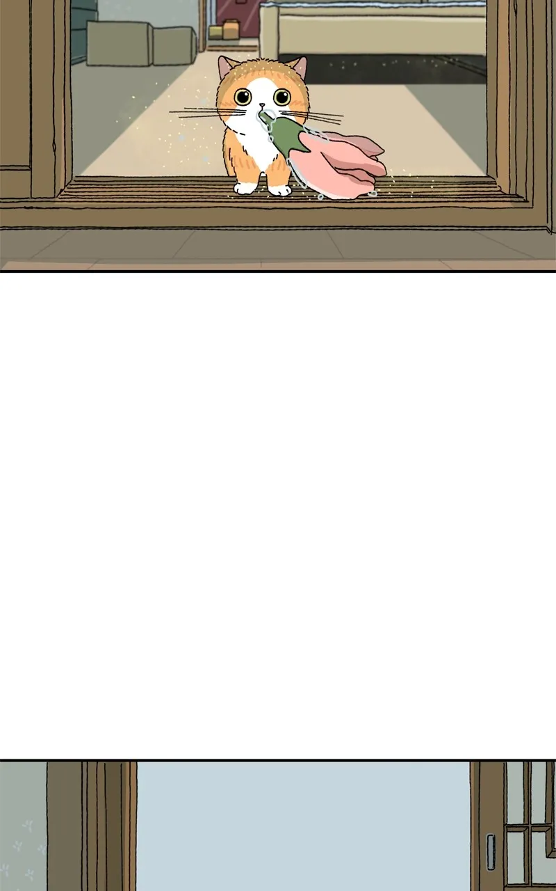 Tata the Cat Chapter 4 page 31 - 