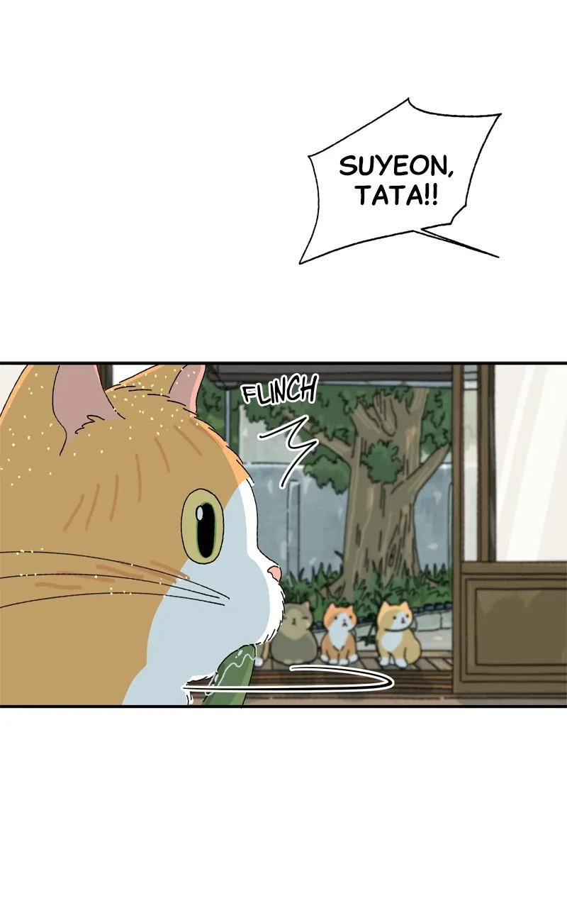 Tata the Cat Chapter 4 page 33 - 