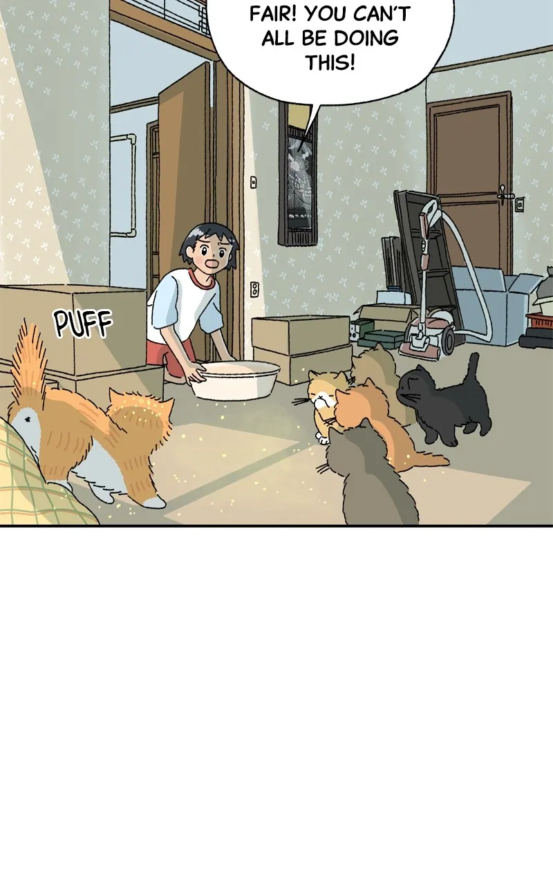 Tata the Cat Chapter 4 page 43 - 
