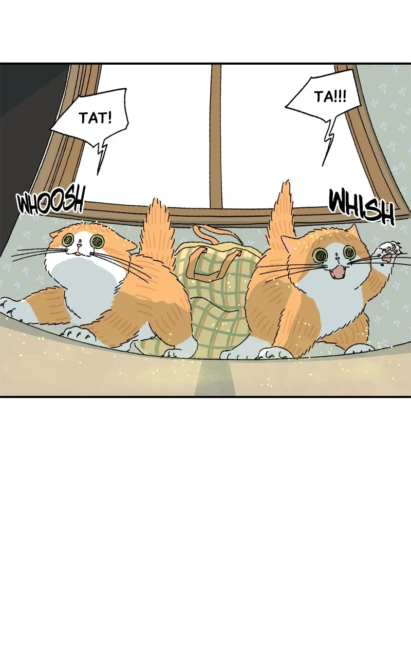 Tata the Cat Chapter 4 page 44 - 