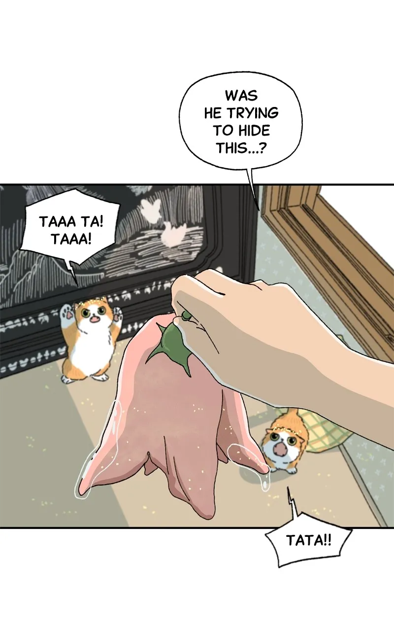 Tata the Cat Chapter 4 page 46 - 