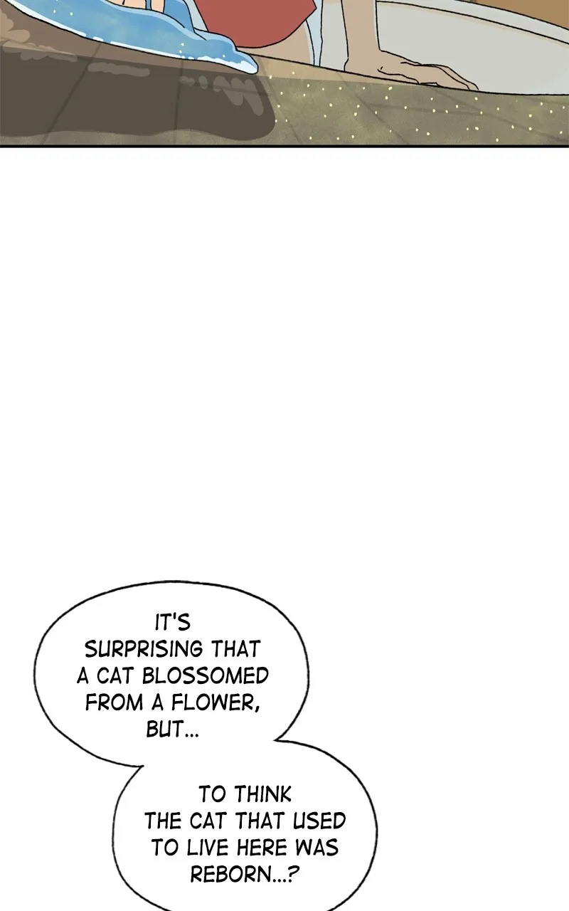 Tata the Cat Chapter 4 page 6 - 