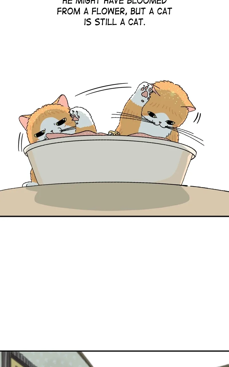 Tata the Cat Chapter 4 page 52 - 