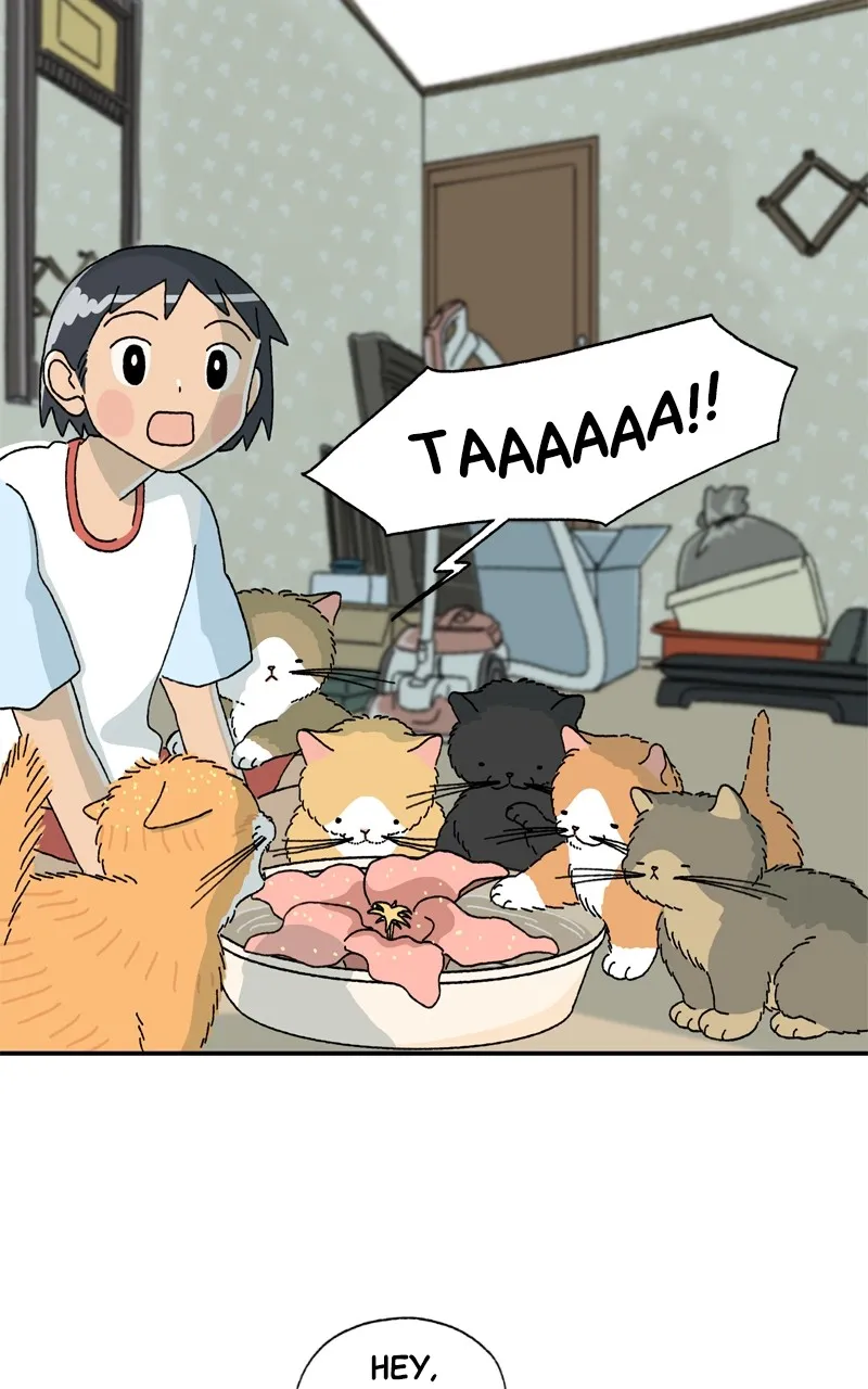Tata the Cat Chapter 4 page 53 - 