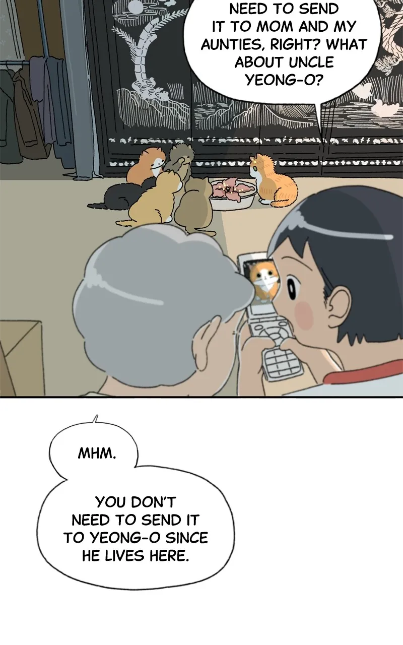 Tata the Cat Chapter 4 page 64 - 