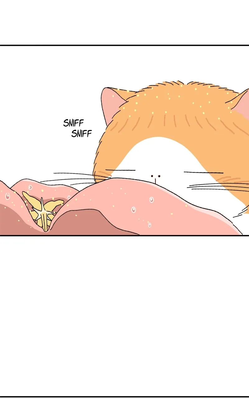 Tata the Cat Chapter 4 page 65 - 