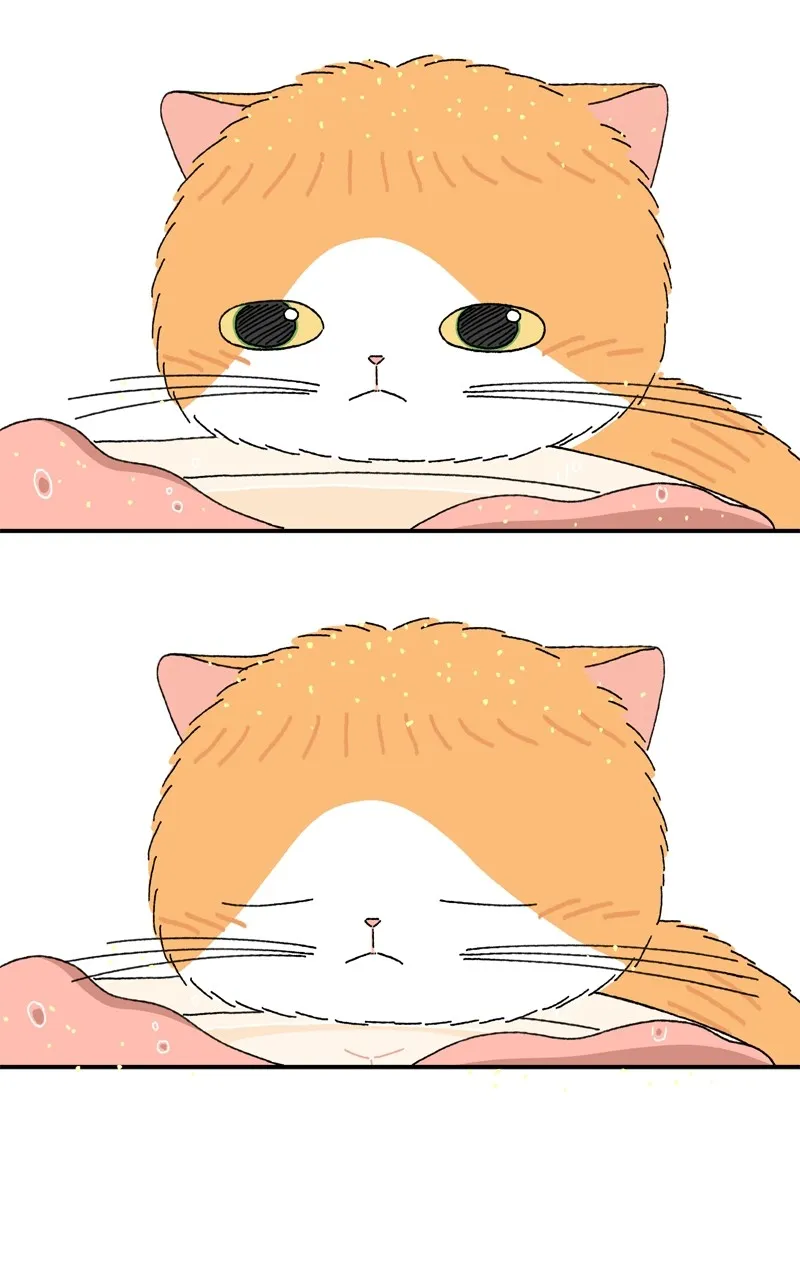 Tata the Cat Chapter 4 page 66 - 