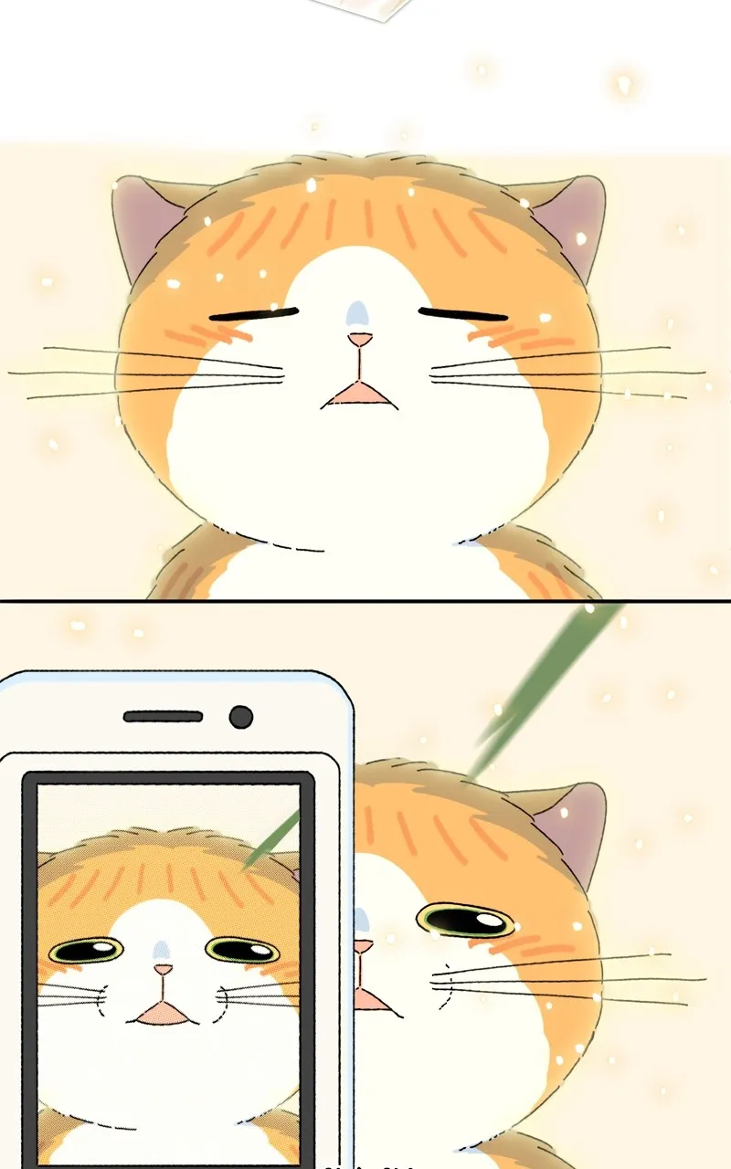 Tata the Cat Chapter 40 page 13 - 