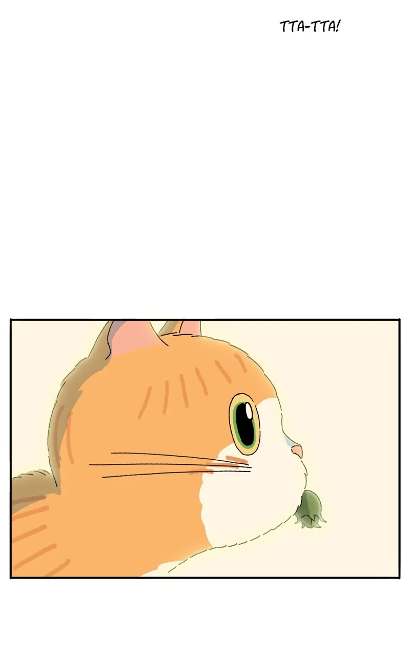 Tata the Cat Chapter 40 page 17 - 