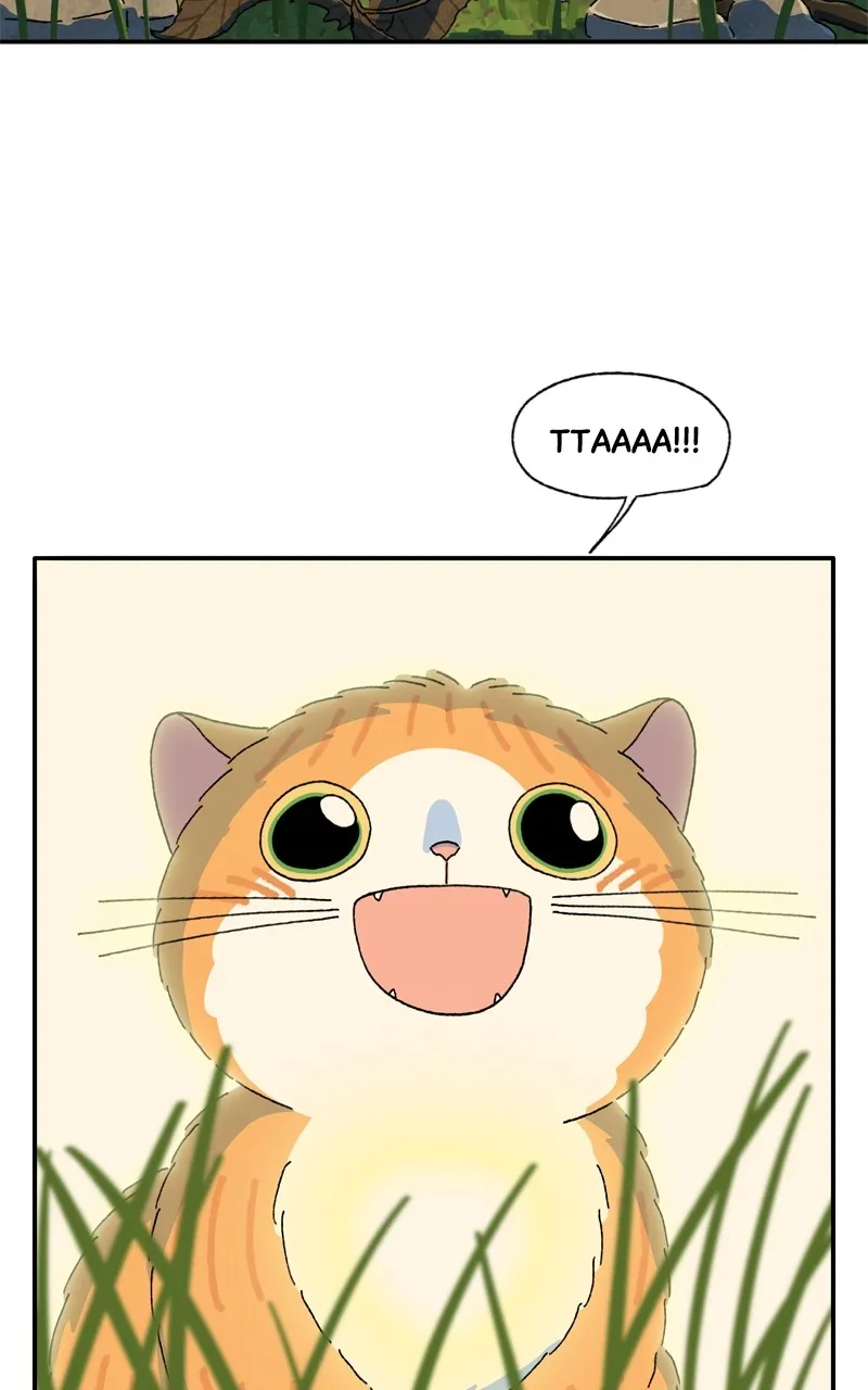 Tata the Cat Chapter 40 page 29 - 
