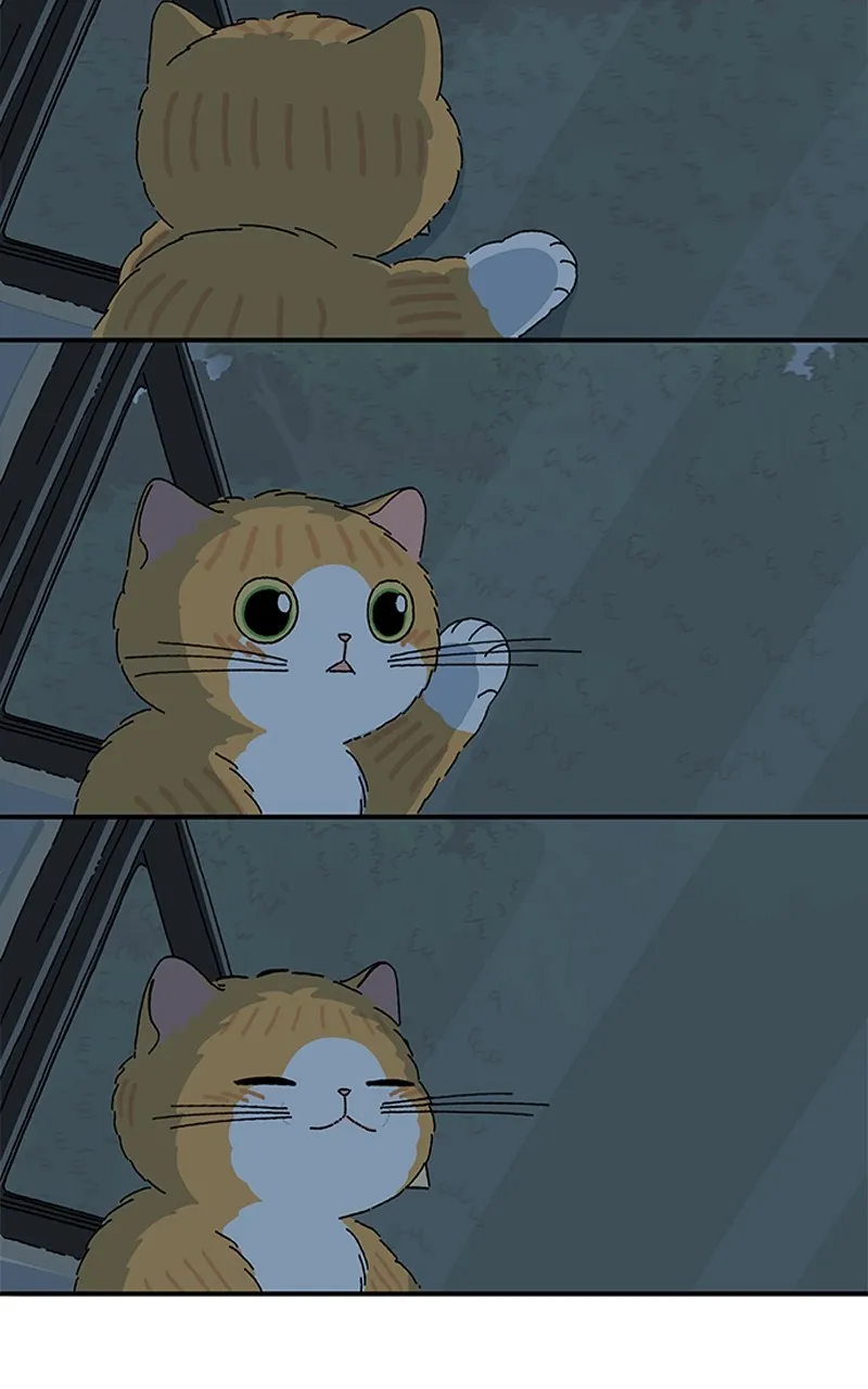 Tata the Cat Chapter 40 page 42 - 