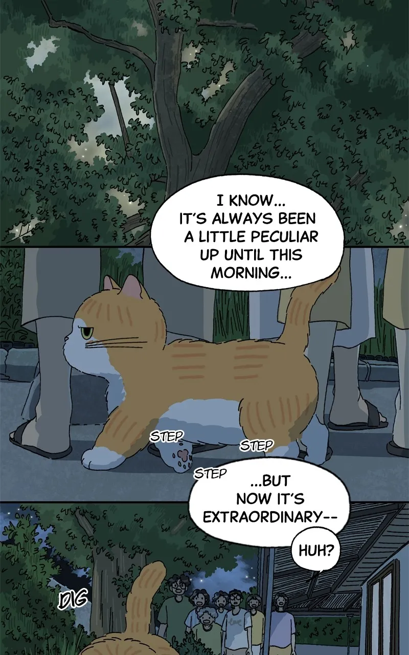 Tata the Cat Chapter 41 page 14 - 