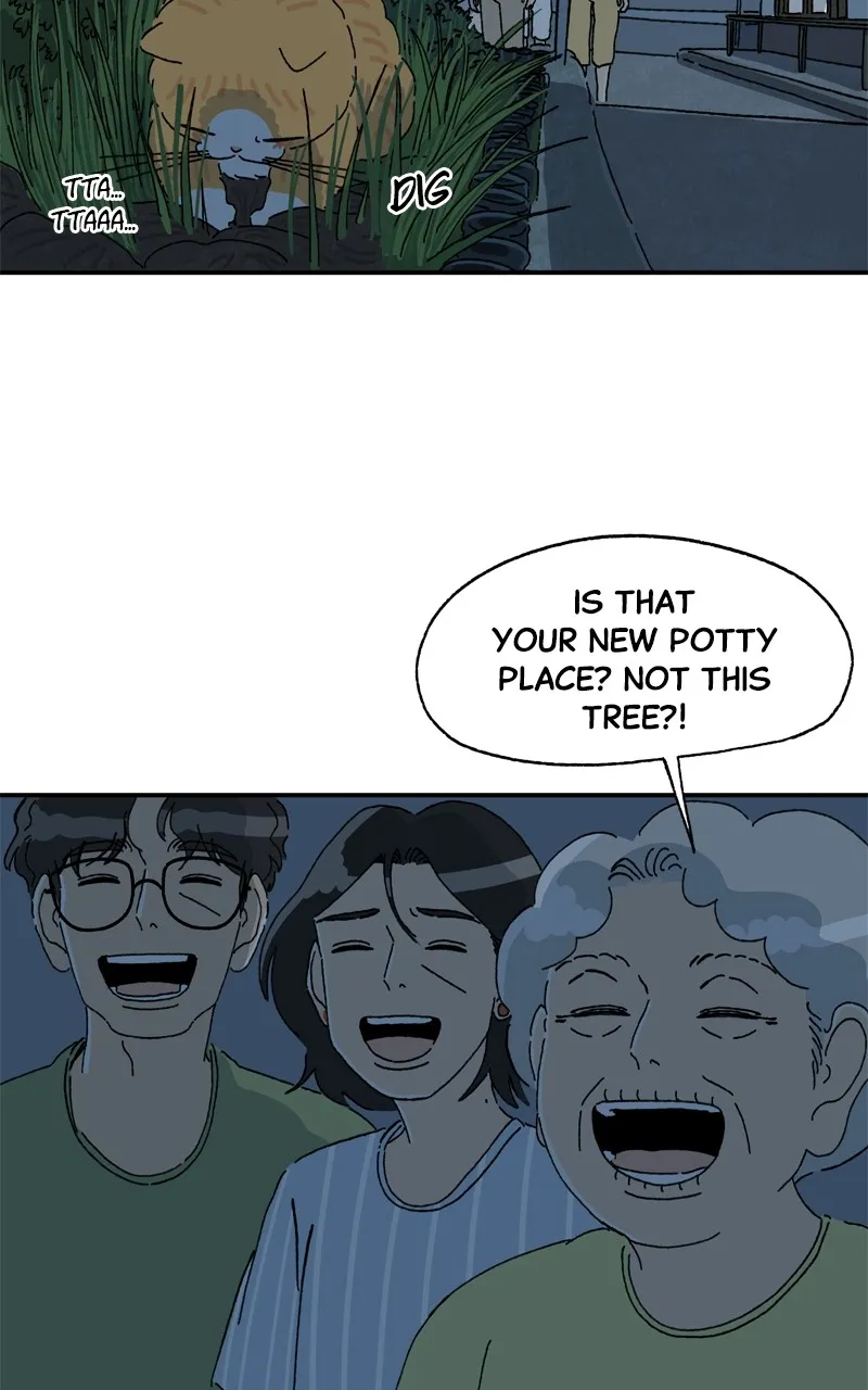 Tata the Cat Chapter 41 page 15 - 