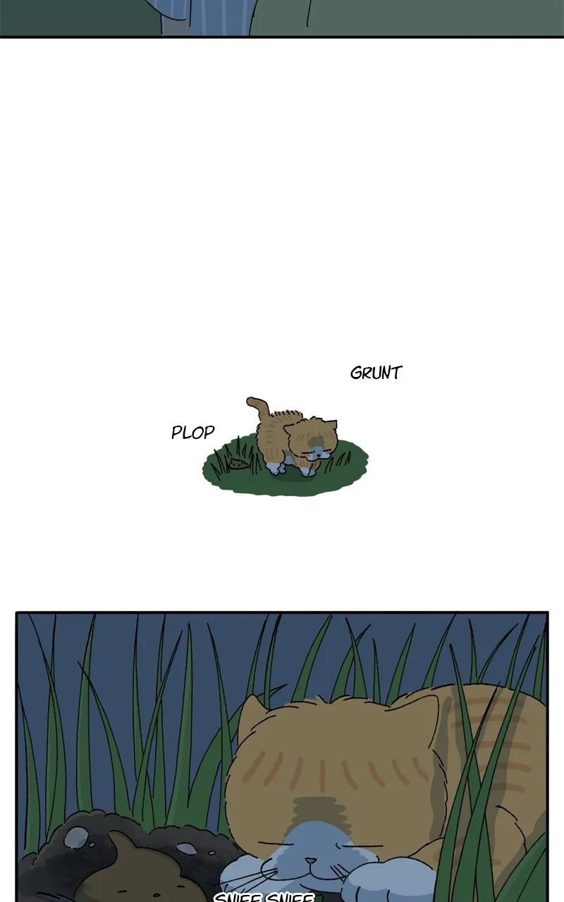 Tata the Cat Chapter 41 page 16 - 